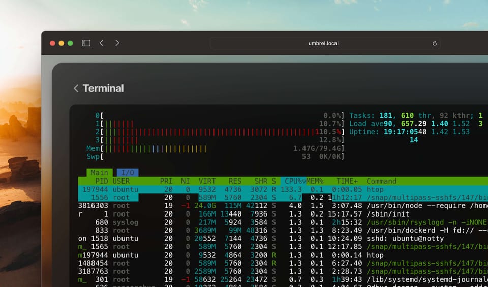 UmbrelOS v1.1.0: Terminal, Beta Program, UX Improvements & Bug Fixes