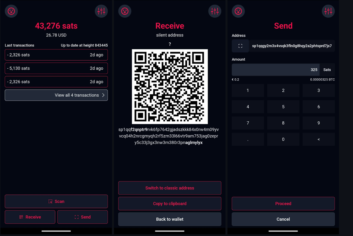 Silentium: Proof of Concept for Silent Payments Light Wallets