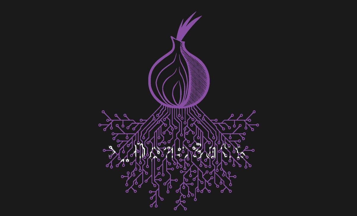 OpenSats Announces Support for The Tor Project