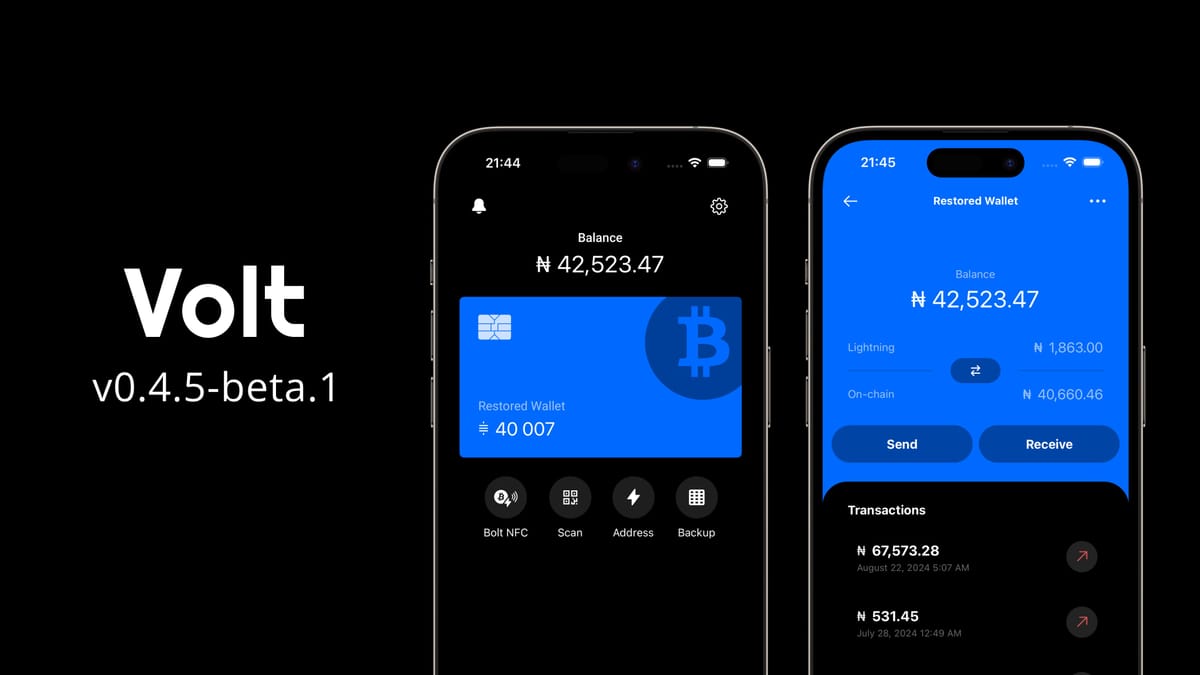 Volt Wallet v0.4.5-beta.1: Fixes & Improvements