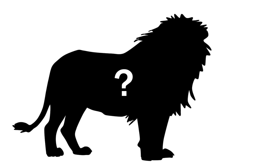 'LinkingLion': An Entity Linking Bitcoin Transactions to IPs?