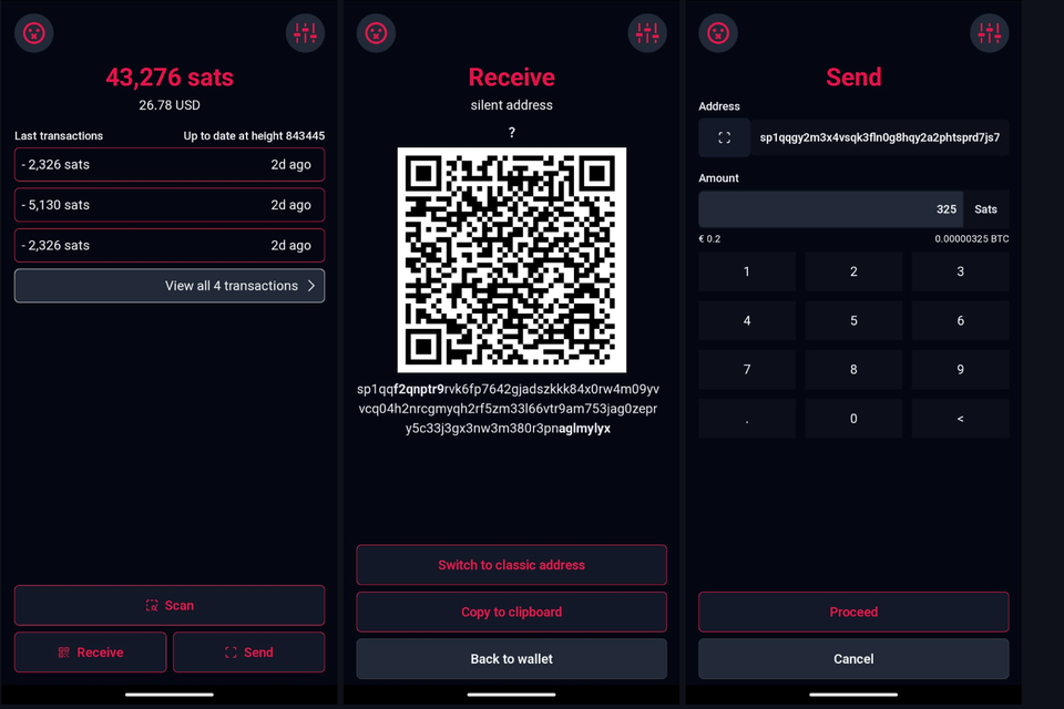 Silentium: Proof of Concept for Silent Payments Light Wallets